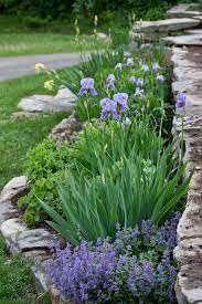 Pin On Glorious Gardens