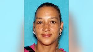 Woman who allegedly stabbed daughter in burning house, snatched other  child, arrested after hunt