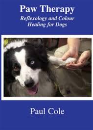 Paw Therapy Reflexology And Colour Healing For Dogs
