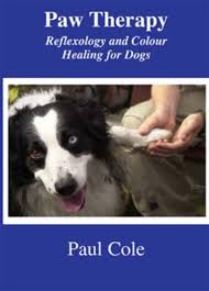 paw therapy reflexology and colour healing for dogs