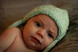 Falling Leaf Photography