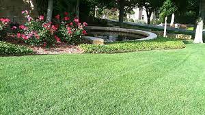 Maybe you would like to learn more about one of these? Keller Southlake Westlake Colleyville Lawn Care Services