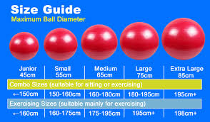 Sustainable Eco Friendly Products Exercise Balls With Custom Logo Gym Ball 65 Cm 65cm Yoga Ball Buy 65cm Yoga Ball Product On Alibaba Com