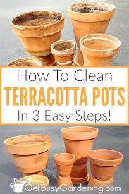 Terracotta pots are a great addition to your garden giving it a rustic edge, but how should you clean these clay pots? How To Clean Terracotta Pots Clean Clay Pots In 3 Easy Steps