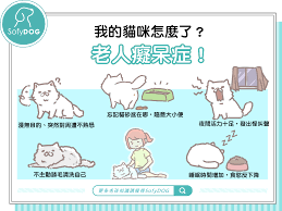 我的貓咪好像不認得我了？貓咪老人癡呆症的6大症狀有這些！