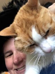 Candy donations for Dake Asylum until Oct 25th