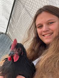 Rooster snuggles and beak-grinds with 10-week old Black Orphington