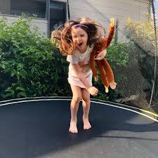 These trampolines have the potential to provide both children. Springfree Trampoline Germany Buy Online Directly From Manufacturer