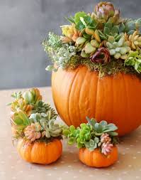 Maybe you would like to learn more about one of these? The Flower Shop S Top 5 Halloween Flower Ideas The Flower Shop Hythe