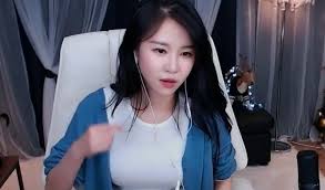 Crayon Pop Ellin Never Made A Dime As An Idol But Made 180 000 In Just 4 Months As Streamer Kpopmap Kpop Kdrama And Trend Stories Coverage