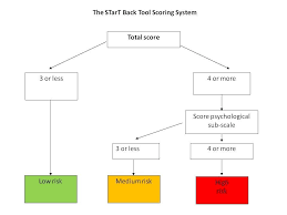 Image result for Start Back Screening Tool