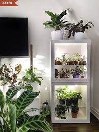 This Easy Ikea Hack Is The Secret To Happy Plants Even In Small Dark Homes In 2020 Indoor Greenhouse Ikea Indoor Plants House Plants Decor
