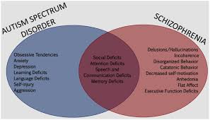 Develop and use rules (social, communication, behavior, and general). The Neurobiological Basis For Social Affiliation In Autism Spectrum Disorder And Schizophrenia Abstract Europe Pmc