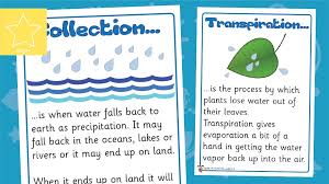 The Water Cycle Posters Water Cycle Poster Water Cycle Teachers Pet