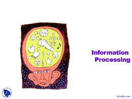 Information Processing General Psychology Lecture Slides Docsity