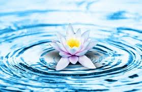 ÐšÐÑÑÐ¸Ð½ÐºÐ¸ Ð¿Ð¾ ÐÐÐ¿ÑÐ¾ÑÑƒ ÐºÐÑÑÐ¸Ð½ÐºÐ¸ ÑÑÐ¹ÐºÐ¸