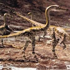 Quick coelophysis facts coelophysis had hollow bones they had wishbones coelophysis is a small dinosaur that lived approximately 200 million years ago in the late. Coelophysis Generation 1 Walking With Wikis Fandom