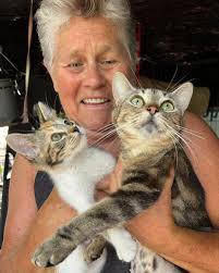 My sweet baby Sherbert is off to his forever home with new momma and older  brother Archibald… they have much in common! Both rescues, both gingers and  both big lovers! I'm so