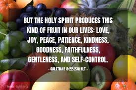 The Holy Spirit Produces Joy and Peace' — Galatians 5:22-23a NLT ...