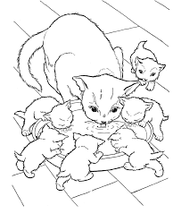 You can use our amazing online tool to color and edit the following kitten coloring pages. Cat And Kitten Coloring Page Coloring Home