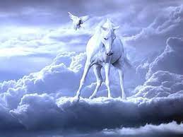 Pin On Gorgeous Horses
