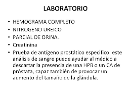 Recomendaciones generales para recolección de orina de 24 horas Interrogatorio Sistema Genitourinario Introduccin A La Clnica Mtte