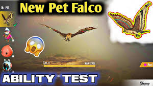 80% of questions are answered in under 10 minutes. Free Fire New Pet Falco Ability Test Max Level Garena Free Fire Battlegrounds Youtube