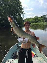 Senator from maine from 1959 to 1980, the 64th governor of maine from 1955 to 1959. Holy Muskie King Of Prussia Fisherman Makes Surprise Catch On Schuylkill