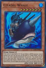 We did not find results for: Top 10 Cards You Need For Your Water Yu Gi Oh Deck Hobbylark