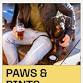 Paws & Pints event image