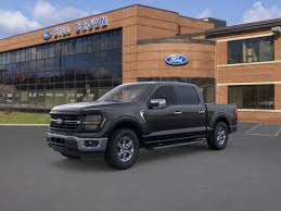 Image result for Medium Brown 2013 Fleet