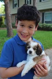 Tim Paradiso (@Tparadiso8)