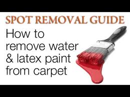 Spilled paint can ruin the look of your carpet. How To Get Paint Out Of Carpet Water And Latex Spot Removal Guide Youtube