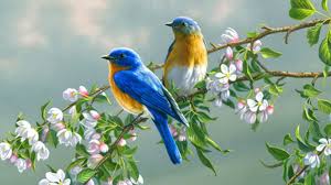 Screen resolution can be found in the settings of your device, it would be right to. 71 Wallpapers Pc Free On Wallpapersafari