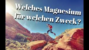 Hier erfährst du alles, was. Magnesium Test Wirkung Anwendung Studien 08 21