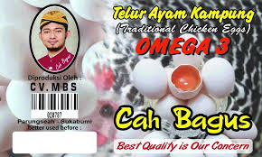Peningkatan komponen lemak yang terdapat didalam telur diduga akan mempenagaruhi. Orang Sehat Dan Cerdas Makannya Telur Kampung Omega 3 Tribun Rakyat