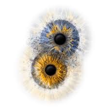 Eyepixx Iris-Fotografie | Das Kunstwerk aus deinem Auge