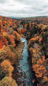 Murals your way has the best selection of landscape wallpaper murals featuring nautical scenes, mountains, bodies of water, gardens, terraces, forests, vineyard, villages, roads, and more. Autumn Aes Pinterest A R T Autumnwallpaper Fall Wallpaper Autumn Photography Autumn Leaves Wallpaper