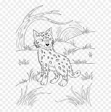 Use these images to quickly print coloring pages. Bobcat Coloring Page Bobcat Coloring Pages Clipart 2775135 Pikpng
