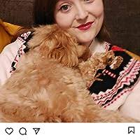 Widows' Revenge (Dolly Rawlins #2) by Lynda La Plante