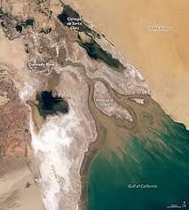 Deltas are wetlands that form as rivers empty their water and sediment into another body of water, such as an ocean, lake , or another river. Colorado River Delta Wikipedia