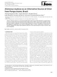 Image result for Elionurus platypus