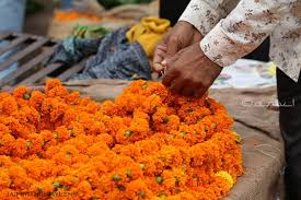 Check spelling or type a new query. The Visit To Jaipur Flower Market An Authentic Local Experience Jaipurthrumylens