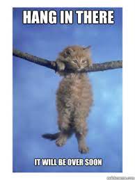 Hang In There Kitty Hang In There Baby Know Your Meme