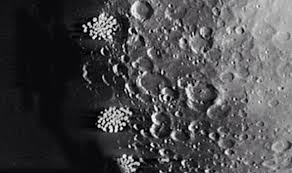 Plus attending critique meetings, being told by, mr. Alien City Discovered On Dark Side Of The Moon Shock Claim Weird News Express Co Uk