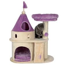 Pin On My Pet Dreamboard