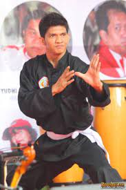 Iko uwais was born in jakarta, indonesia, to maisyaroh and mustapha kamaluddin. Pencak Silat Ilustrasi Lucu Aktor