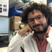 60+ "Sal Occhipinti" profiles