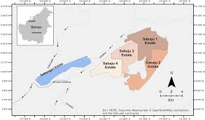 The official facebook page for bintulu development authority (malay: Location Of The Sebungan And Sabaju Oil Palm Estates In Sebauh Bintulu Download Scientific Diagram