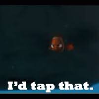 However, you can also upload your own templates or start from scratch with empty templates. Why Did Nemo Touch The Boat